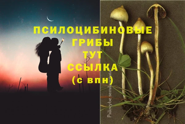 соль курить ск Богородск