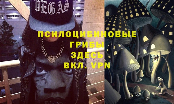 2c-b Богородицк