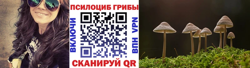 Галлюциногенные грибы Psilocybine cubensis наркота Пермь
